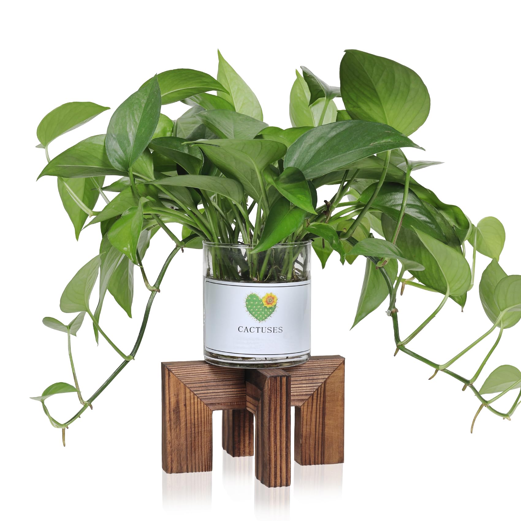 Vigordream plant stand wood close-up shows sturdy pine craftsmanship for indoor use