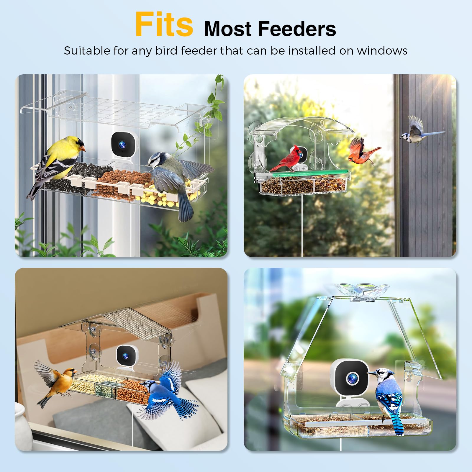Viigytek 2K HD camera auto-capture during bird visits