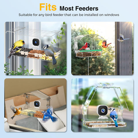 Viigytek 2K HD camera auto-capture during bird visits