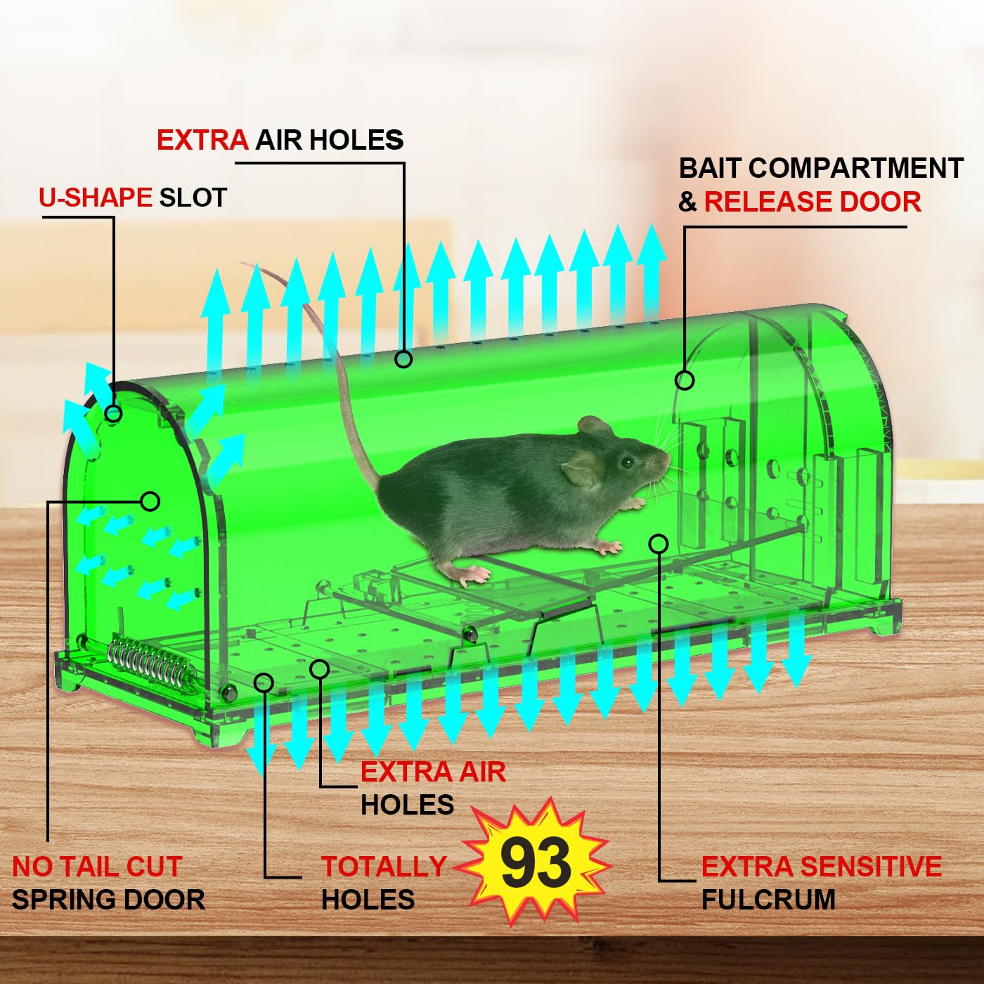ViKert live catch-release action for humane mouse relocation