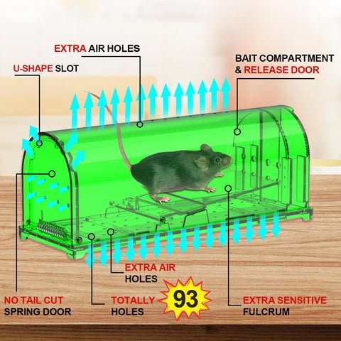 ViKert live catch-release action for humane mouse relocation