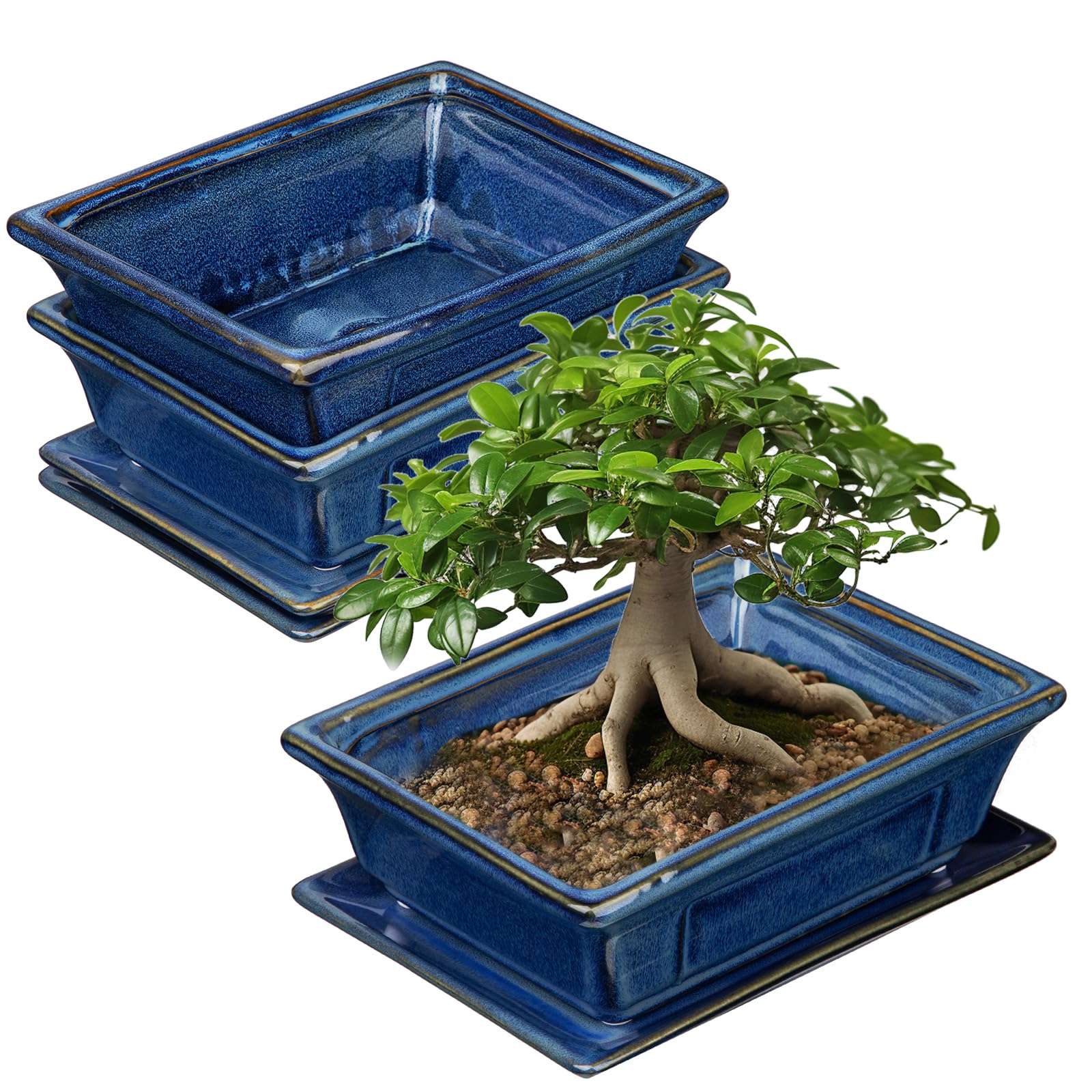 Villa Como bonsai pots small shallow 2-pack in blue glaze for indoor bonsai display