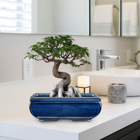 Villa Como gift-ready planter set is a thoughtful present for plant lovers.