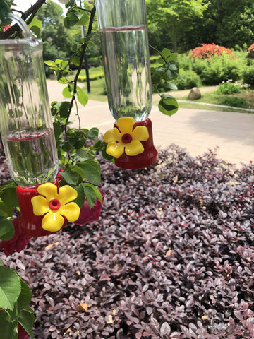 VIMOA easy, quick-clean design simplifies nectar refreshment and reuse.