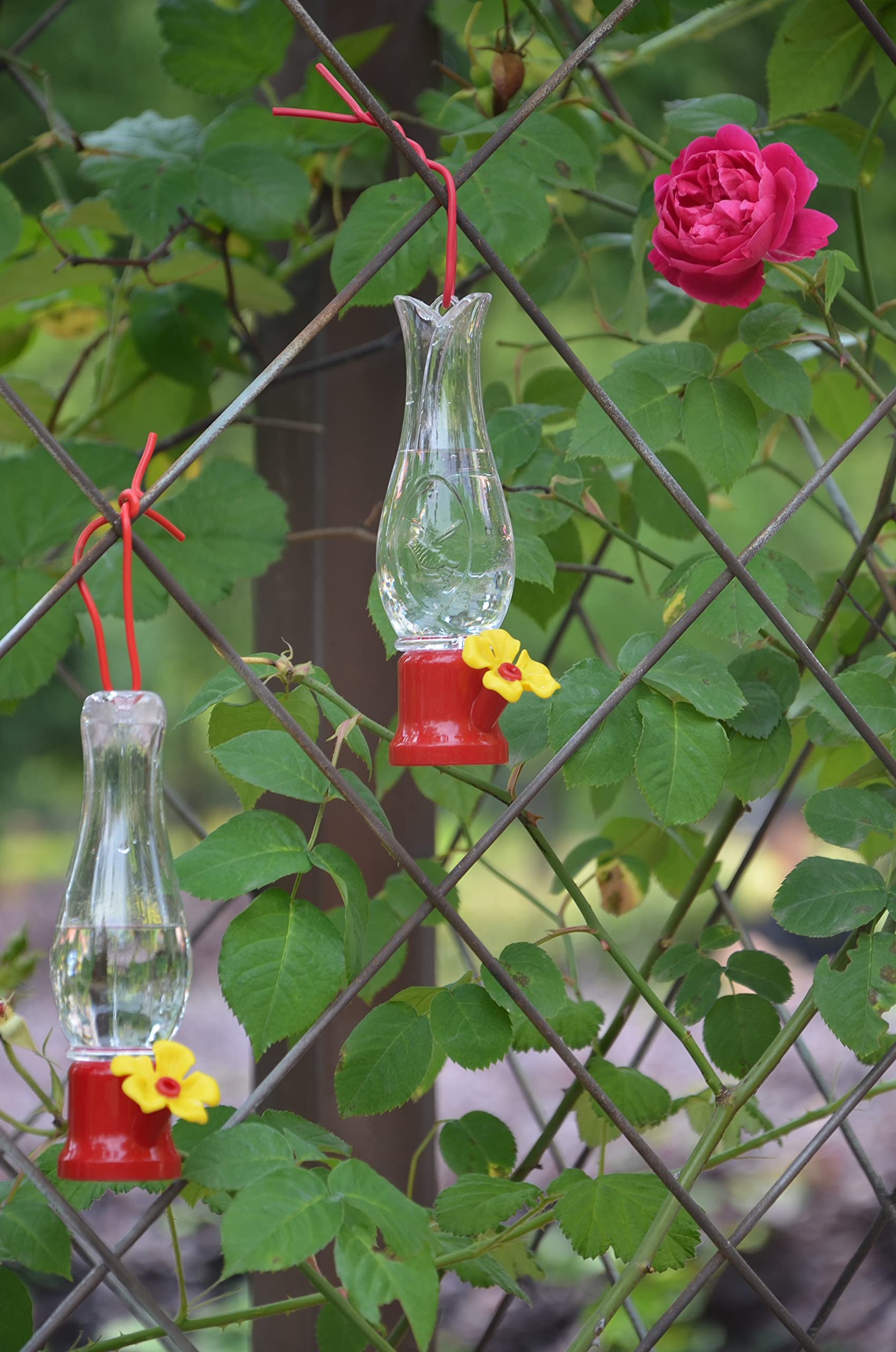 VIMOA four-pack highlights nectar management through rotation and freshness.