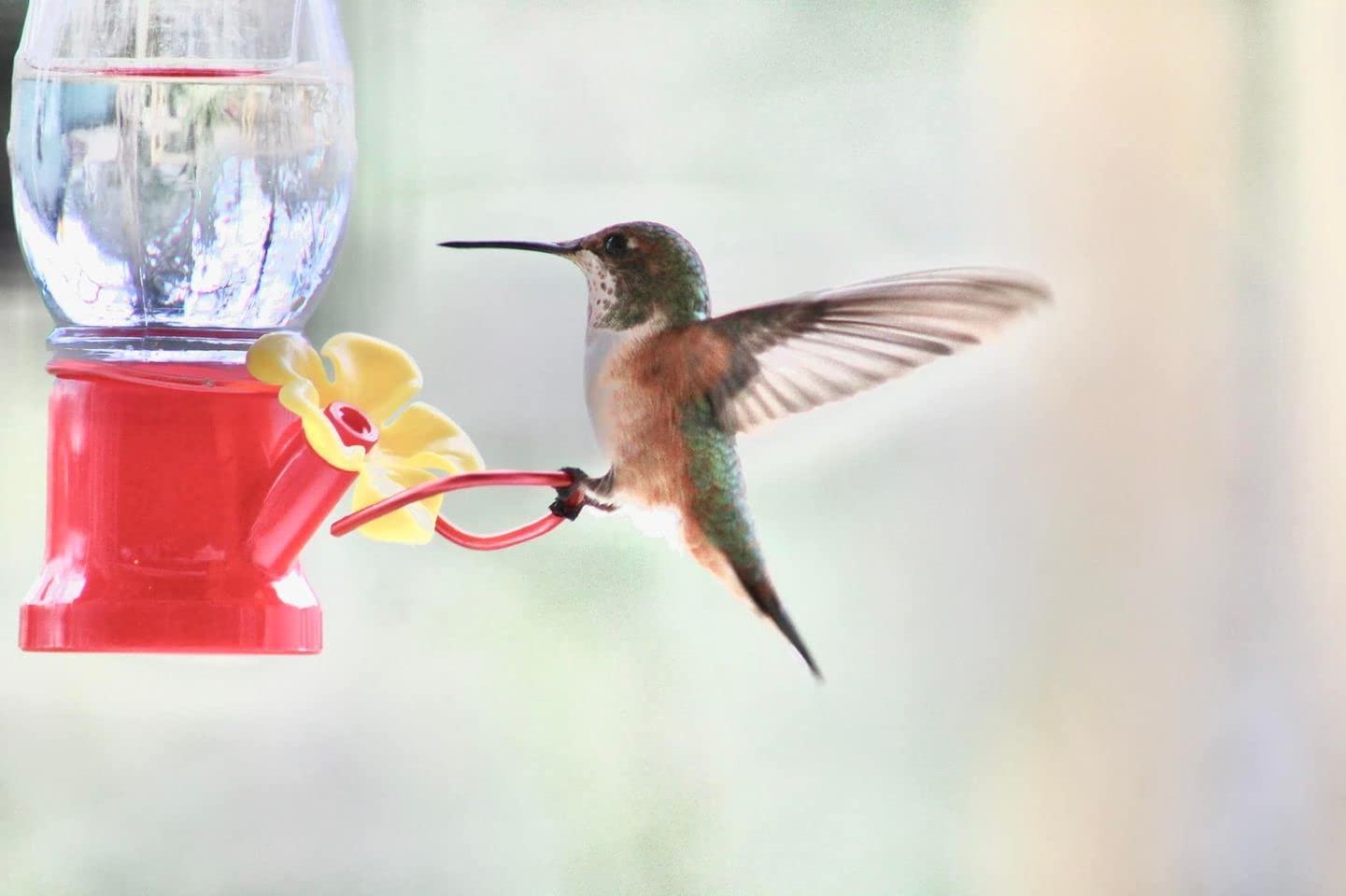 VIMOA hummingbird feeder with angled flower design to reduce leaks.