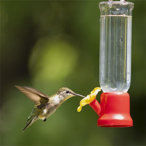 VIMOA mini hummingbird feeder with 2-3oz nectar capacity for compact spaces.