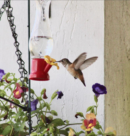 VIMOA mini hummingbird feeder 2dot3oz capacity in a compact bottle.