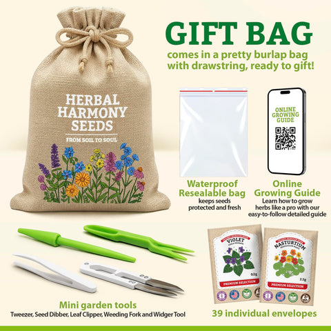 Vimtoba outdoor herb garden scene highlights seasonal planting opportunities.