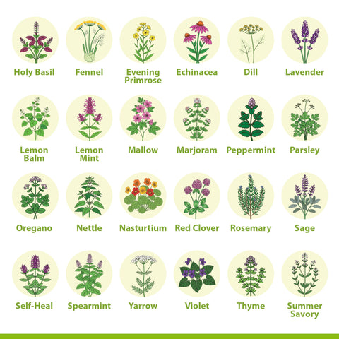 Vimtoba QR growing guide card provides easy steps for planting.