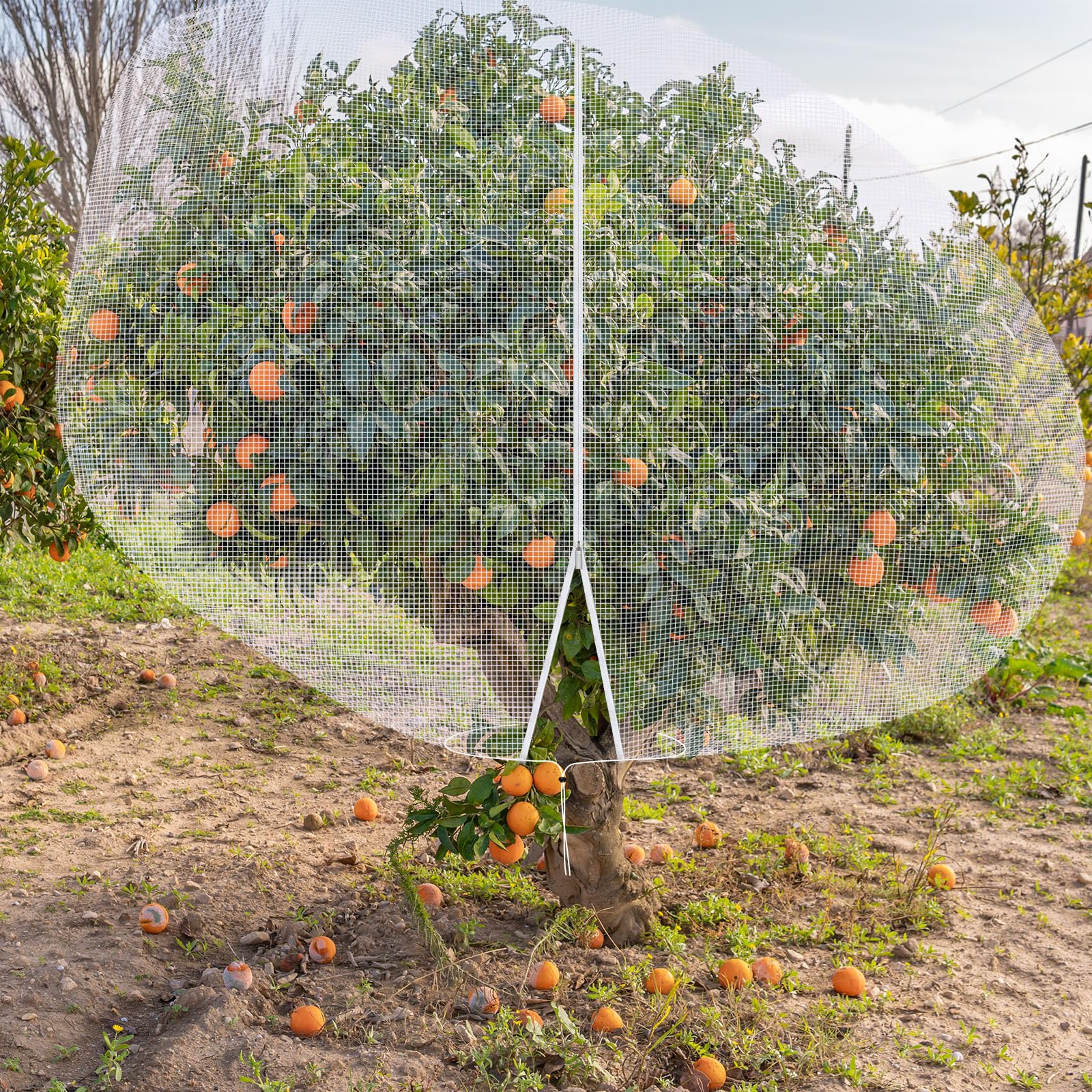 Vincreem easy-view protection helps monitor growth without removing the cover.