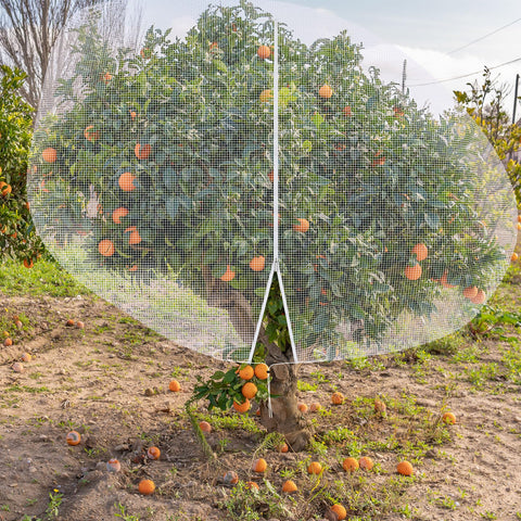 Vincreem easy-view protection helps monitor growth without removing the cover.