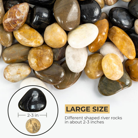 VINICS 2-3 inch polished river pebbles for aquariums create attractive backgrounds and stable substrate.