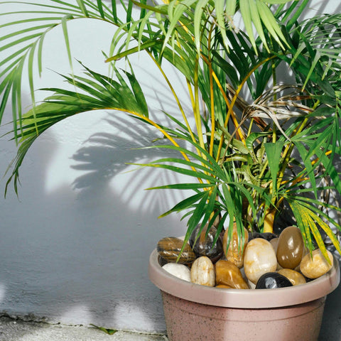 VINICS multi-use pebbles for landscaping and garden decor add color and durable texture.