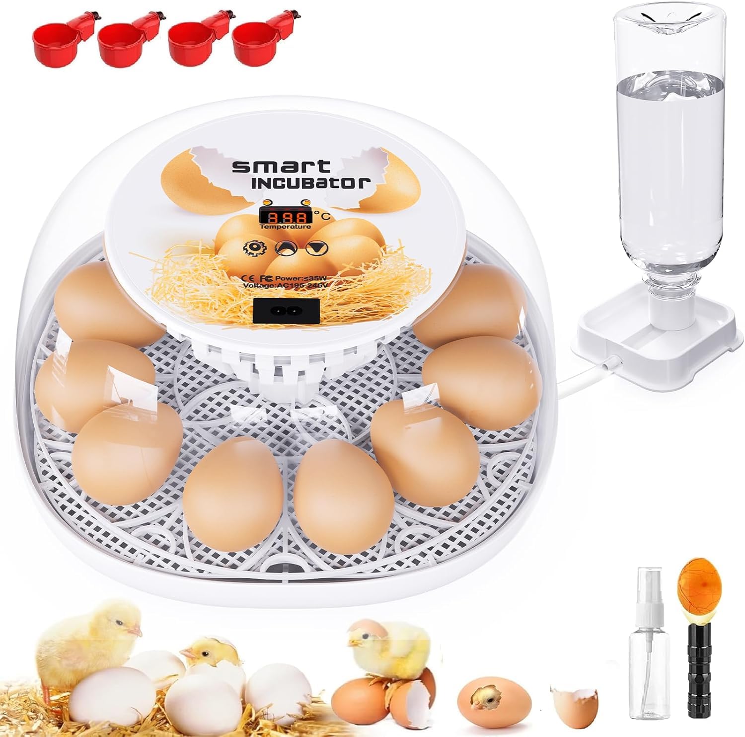 Viowey 12-egg incubator with 360° lid enables easy observation of developing eggs.