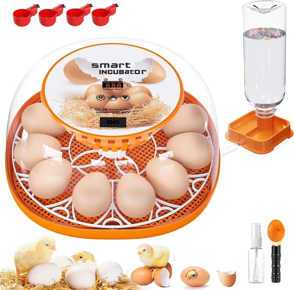 Viowey 12-egg incubator with 360-degree lid view for easy observation