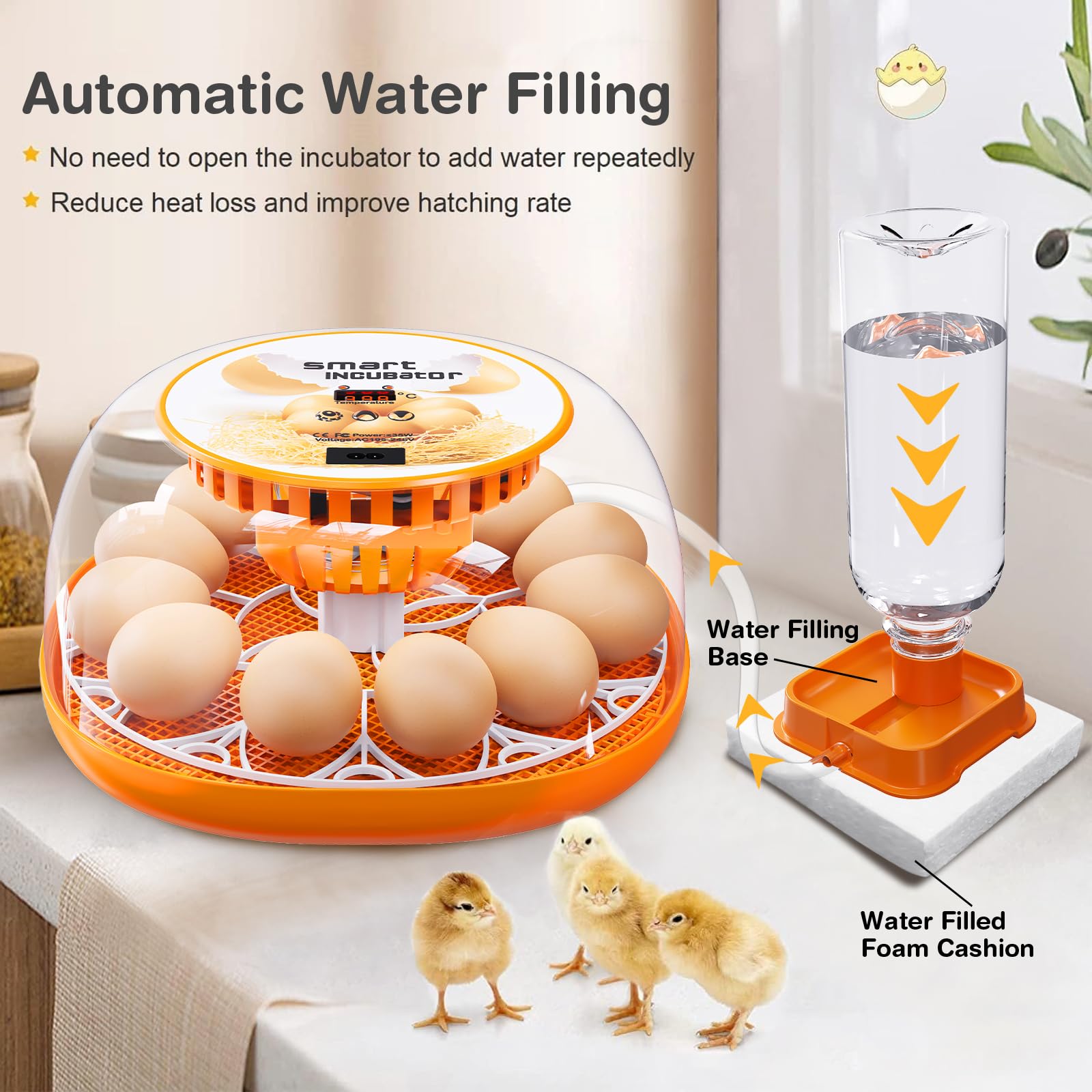 Viowey egg candle LED enables embryo observation
