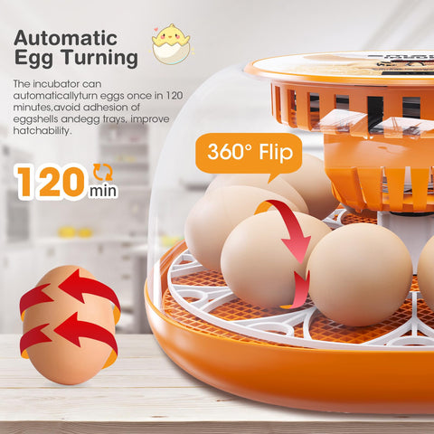 Viowey automatic egg turning mechanism rotates eggs to reduce adhesion