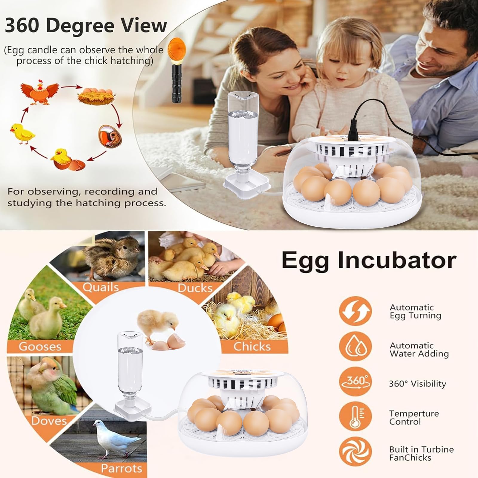 Viowey ABS transparent shell provides durability and easy viewing.