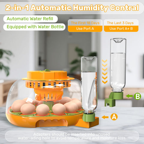 Viowey incubator automatic egg turning promotes steady embryo development.