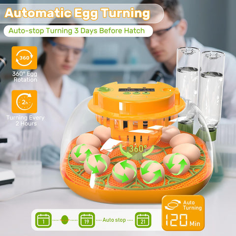 Viowey incubator digital display shows temperature and humidity for precise monitoring.