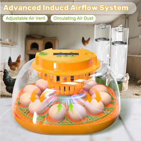 Viowey incubator egg candler top light enables watching progress without opening.