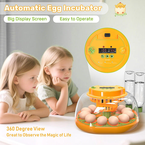 Viowey incubator removable trays simplify cleaning after hatching sessions.
