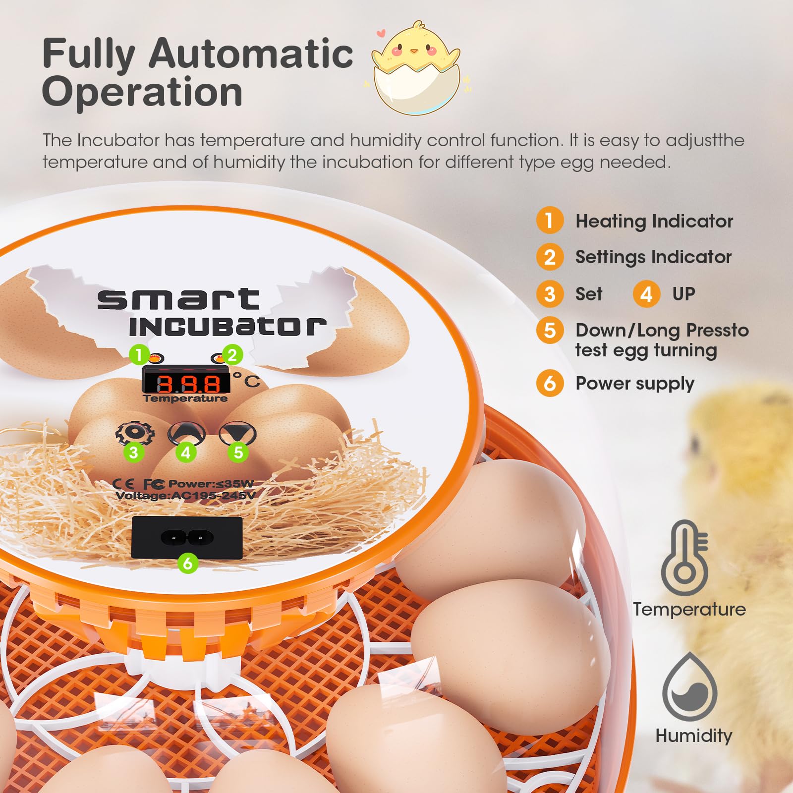 Viowey LED display shows precise temperature for steady incubation