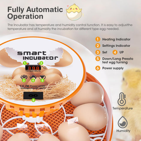Viowey LED display shows precise temperature for steady incubation