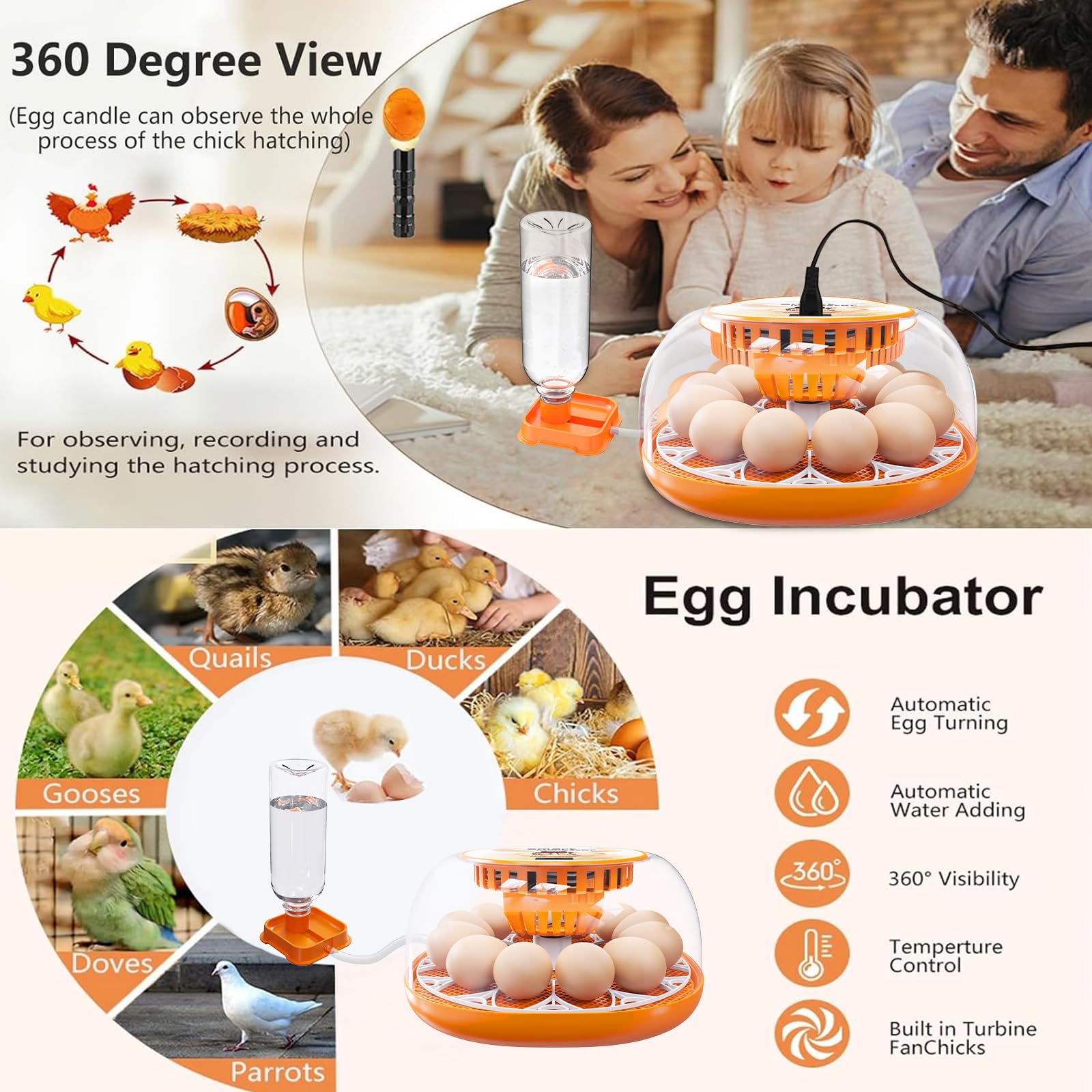 Viowey transparent ABS body provides durable visibility during incubation
