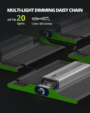 VIPARSPECTRA P1000 full-spectrum light powers seeds to bloom.