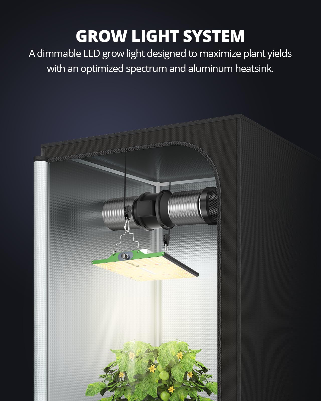 VIPARSPECTRA P1000 plug-and-play with US after-sales support.