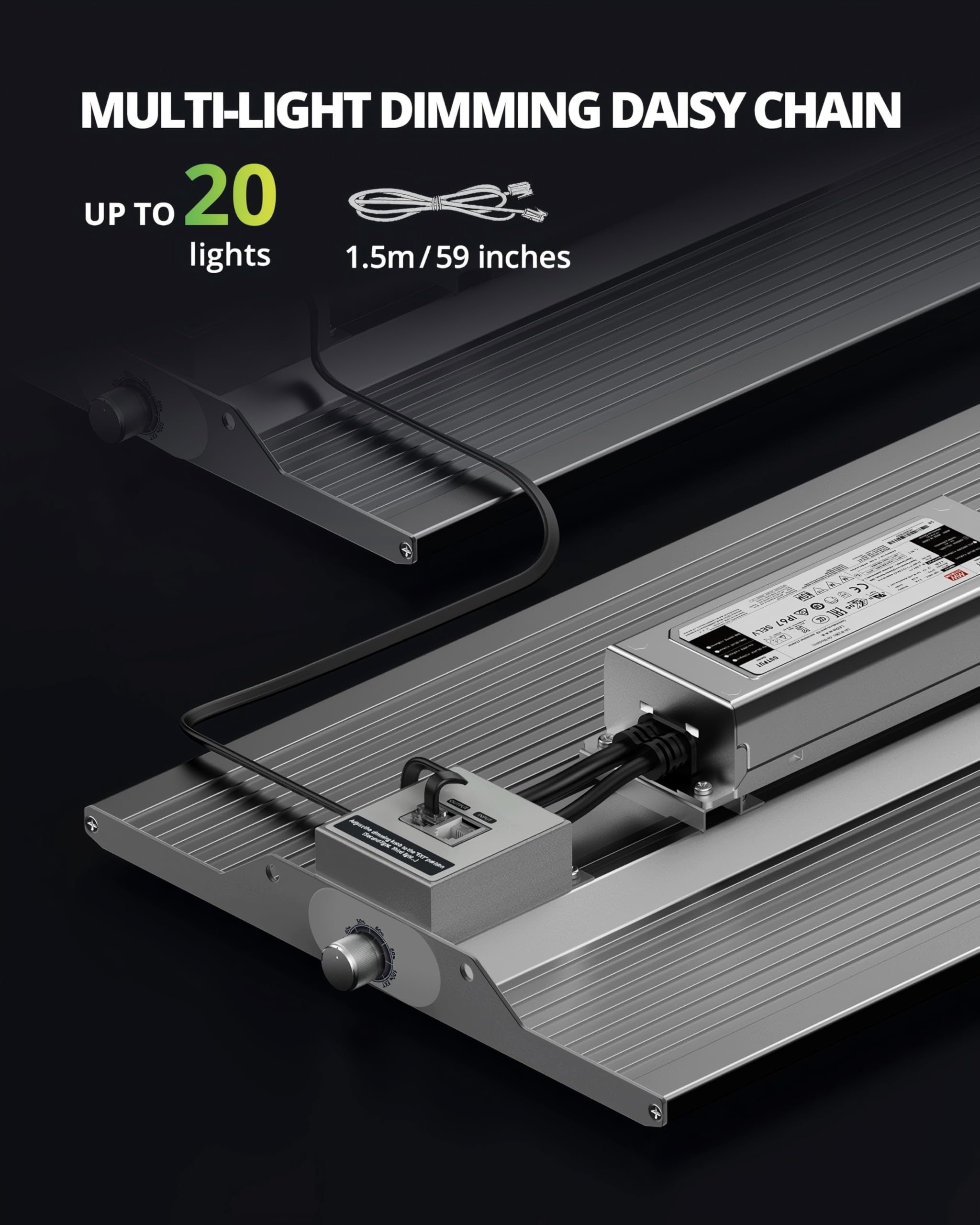 XS1500 daisy-chain setup demonstrating expandable indoor lighting