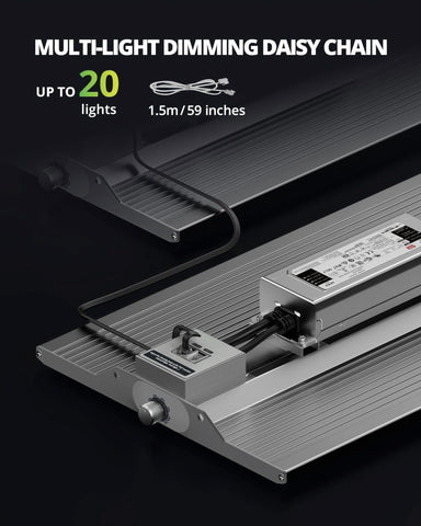 XS1500 daisy-chain setup demonstrating expandable indoor lighting