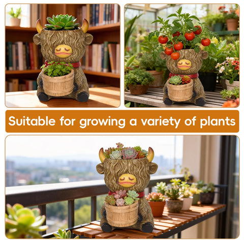 ViQuHaT planter drainage holes ensure healthy root airflow.