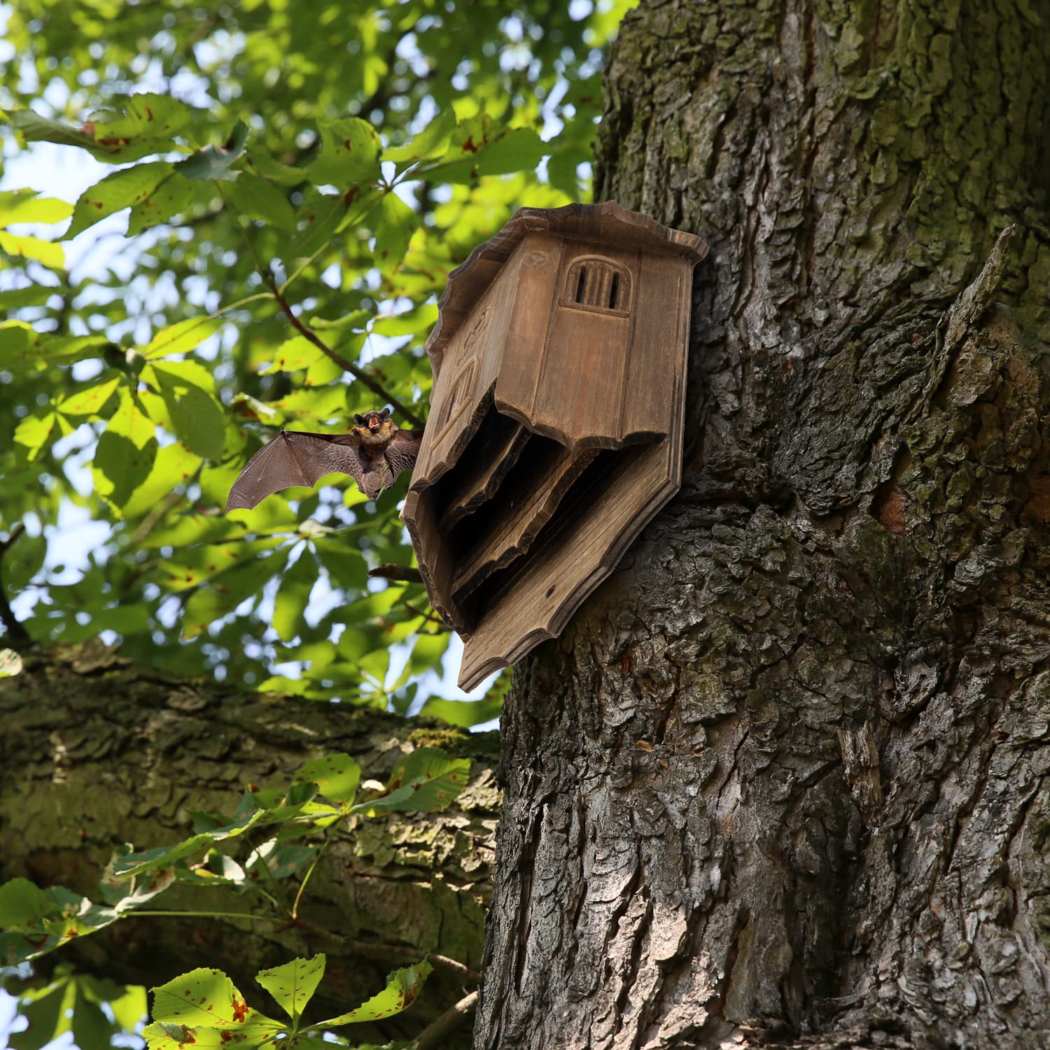 VIREESR mosquito-reduction potential near your yard.