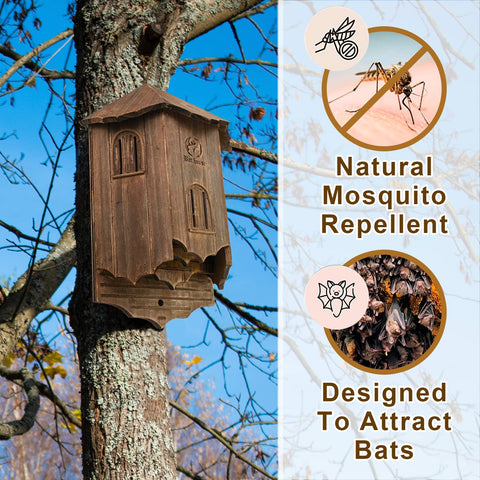 VIREESR bat house interior three-chamber layout supports multiple bats.