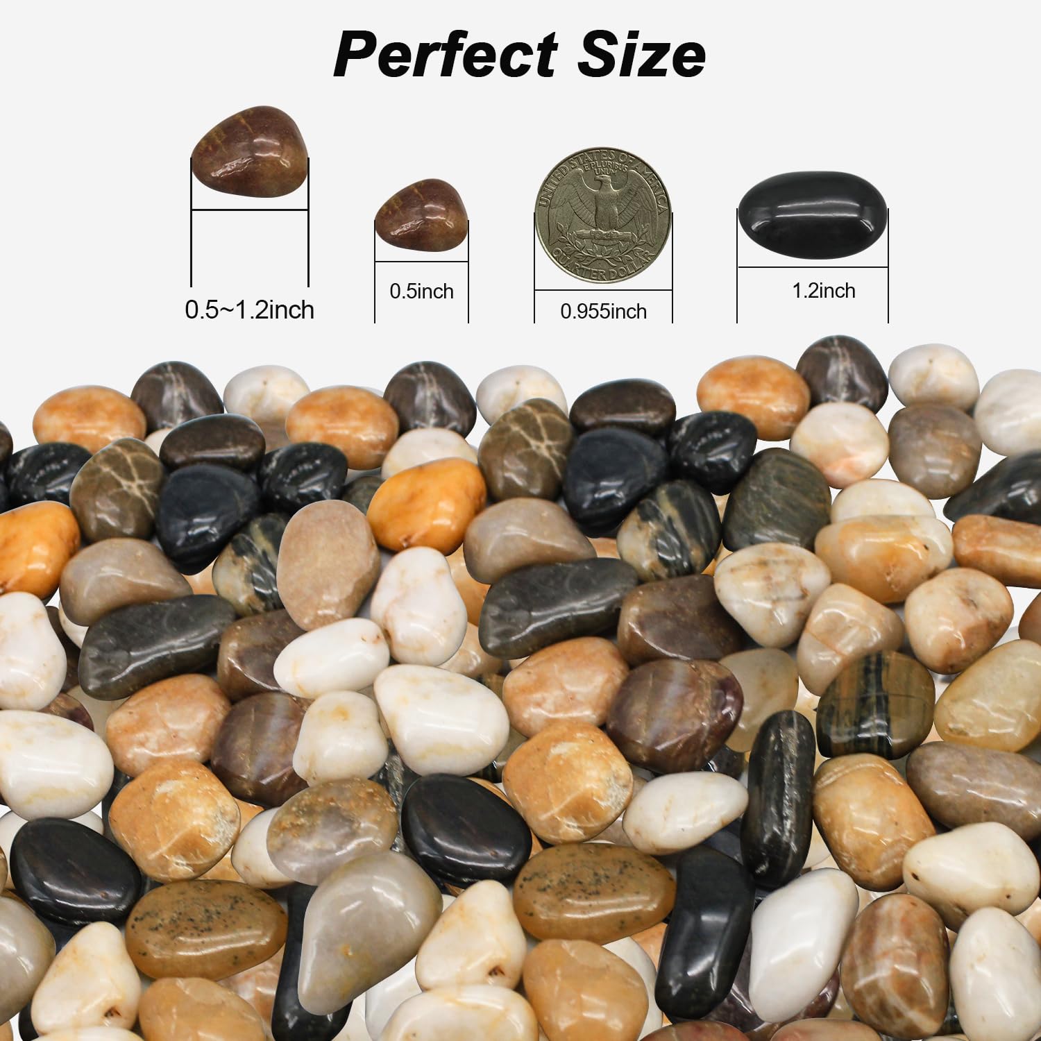 Virekm decorative pebbles provide smooth texture for vases and terrariums