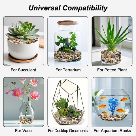 Virekm succulent display pebbles complement plant shelves and pots