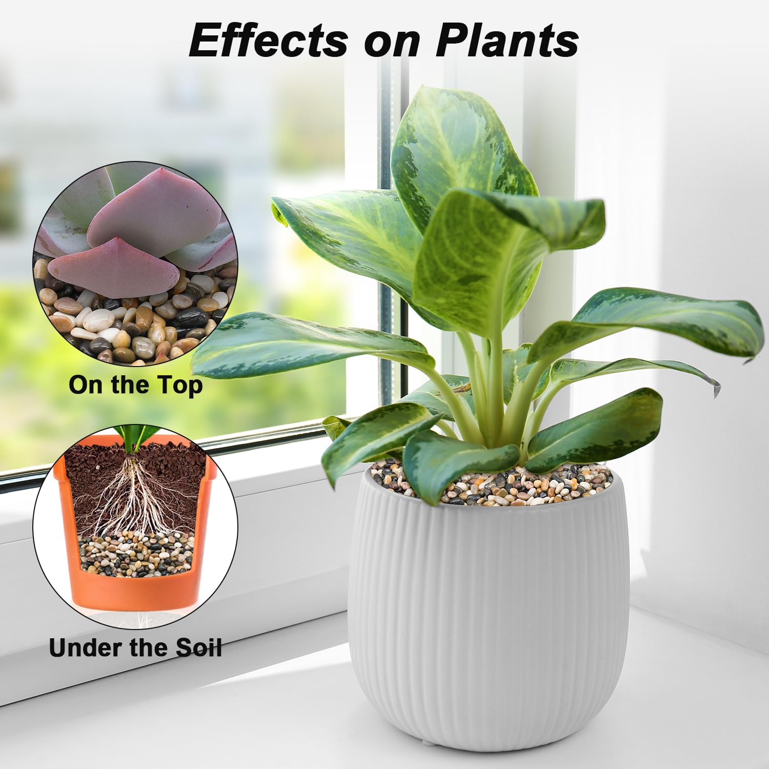 Virekm vase filler pebbles brightening arrangements with subtle color