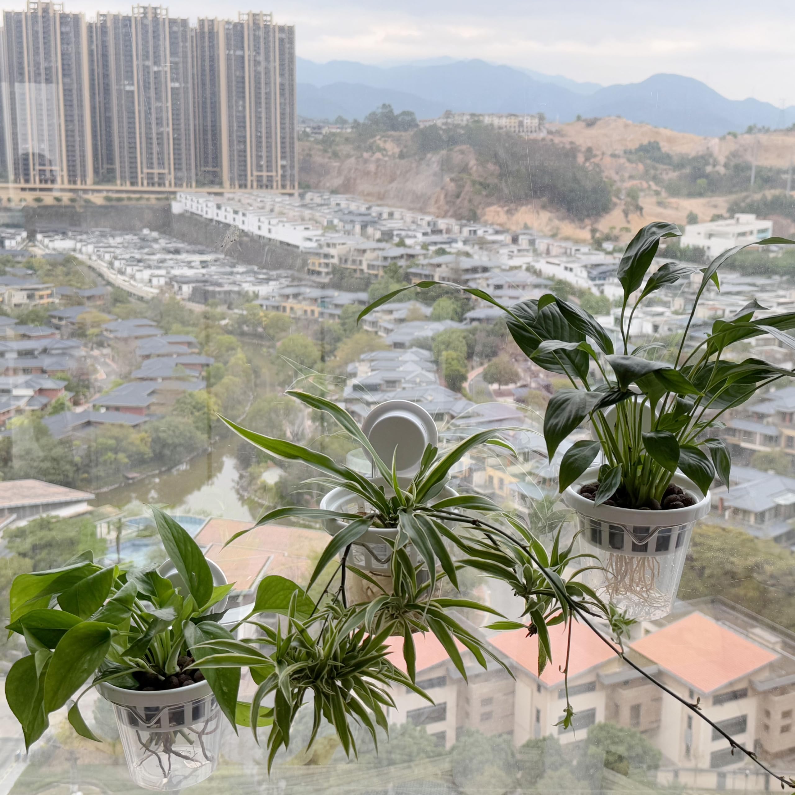 VirgoLeo hydroponic-friendly small plant planter for compact setups