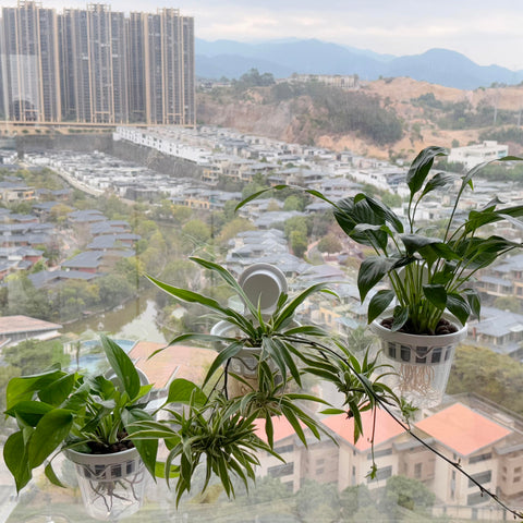 VirgoLeo hydroponic-friendly small plant planter for compact setups