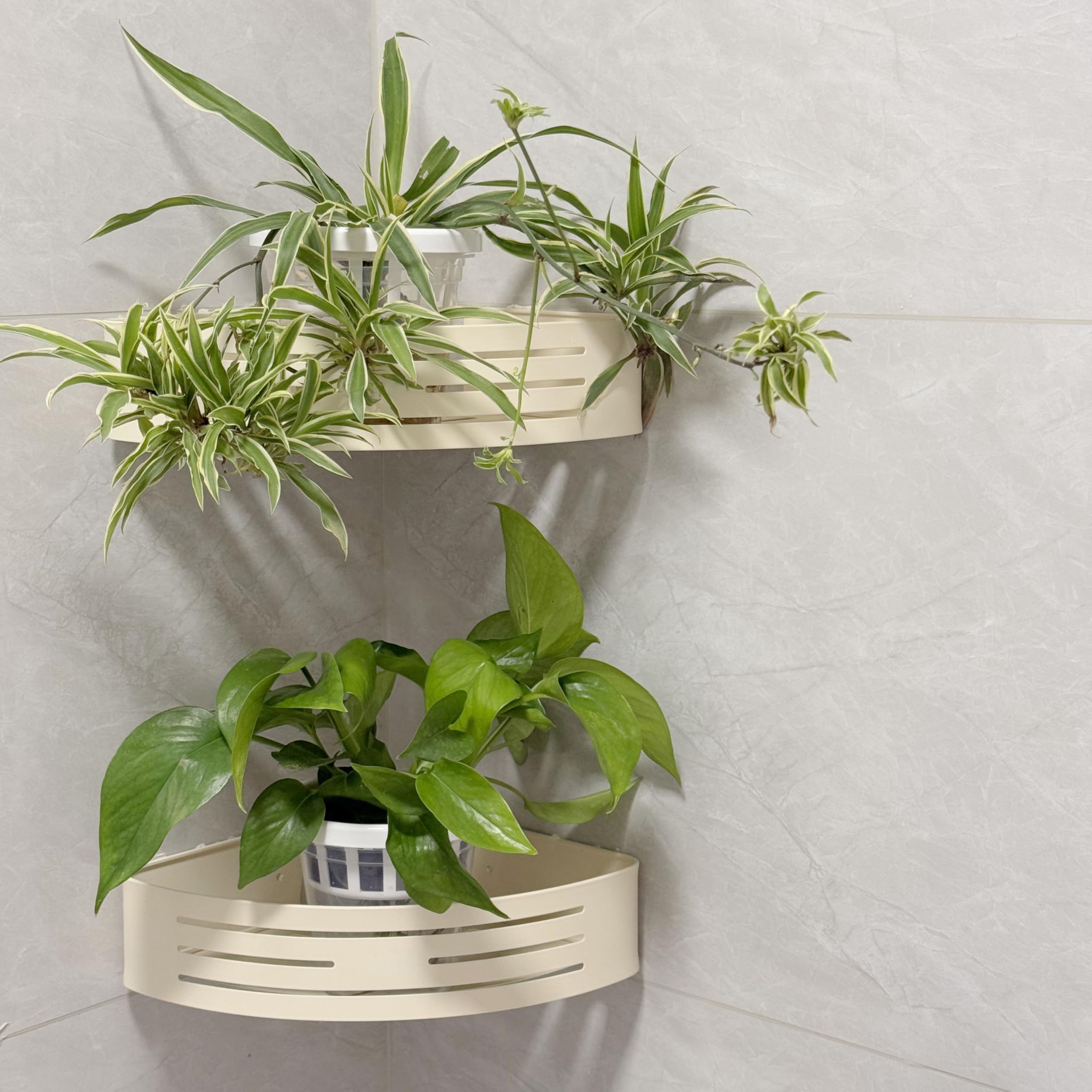 VirgoLeo lightweight yet sturdy planter system for indoor growth