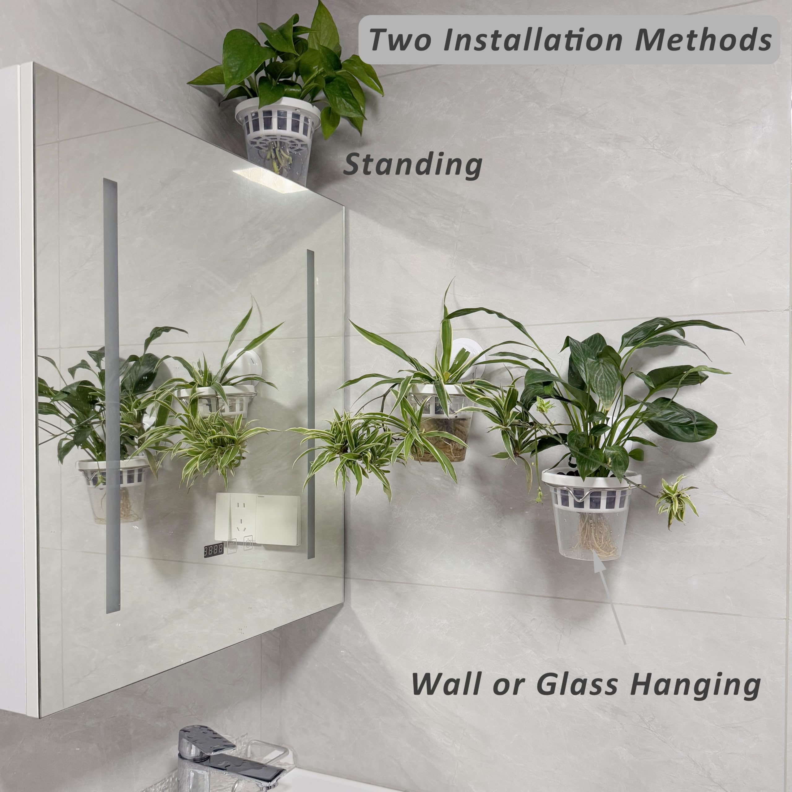 VirgoLeo minimalist transparent planter complements modern decor