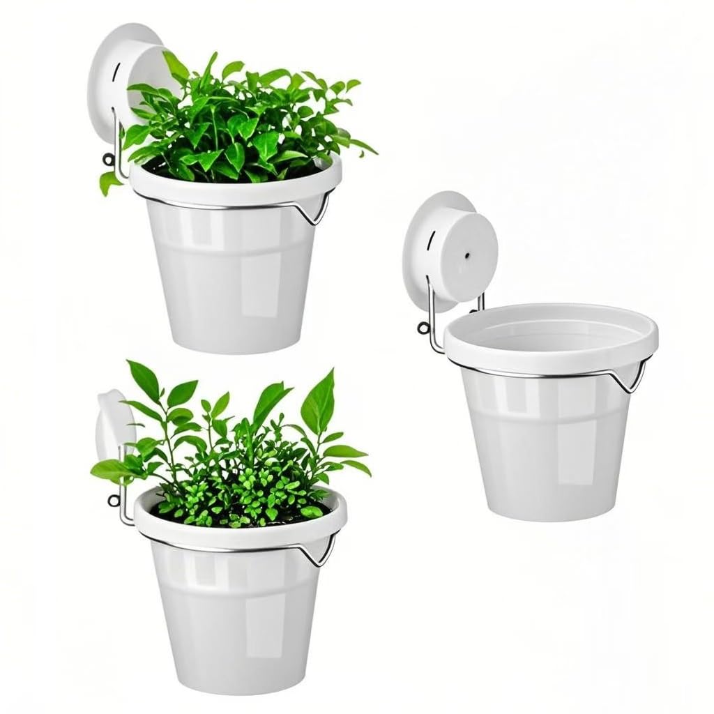 VirgoLeo window planter set with suction cups for tool-free mounting