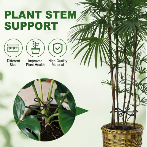 Virmoek adjustable-height-angle to support natural growth