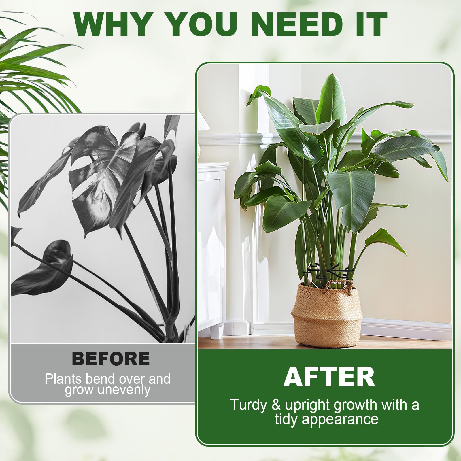 Virmoek elegant-minimalist-design blends with houseplants for a neat look