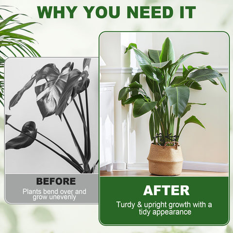 Virmoek elegant-minimalist-design blends with houseplants for a neat look