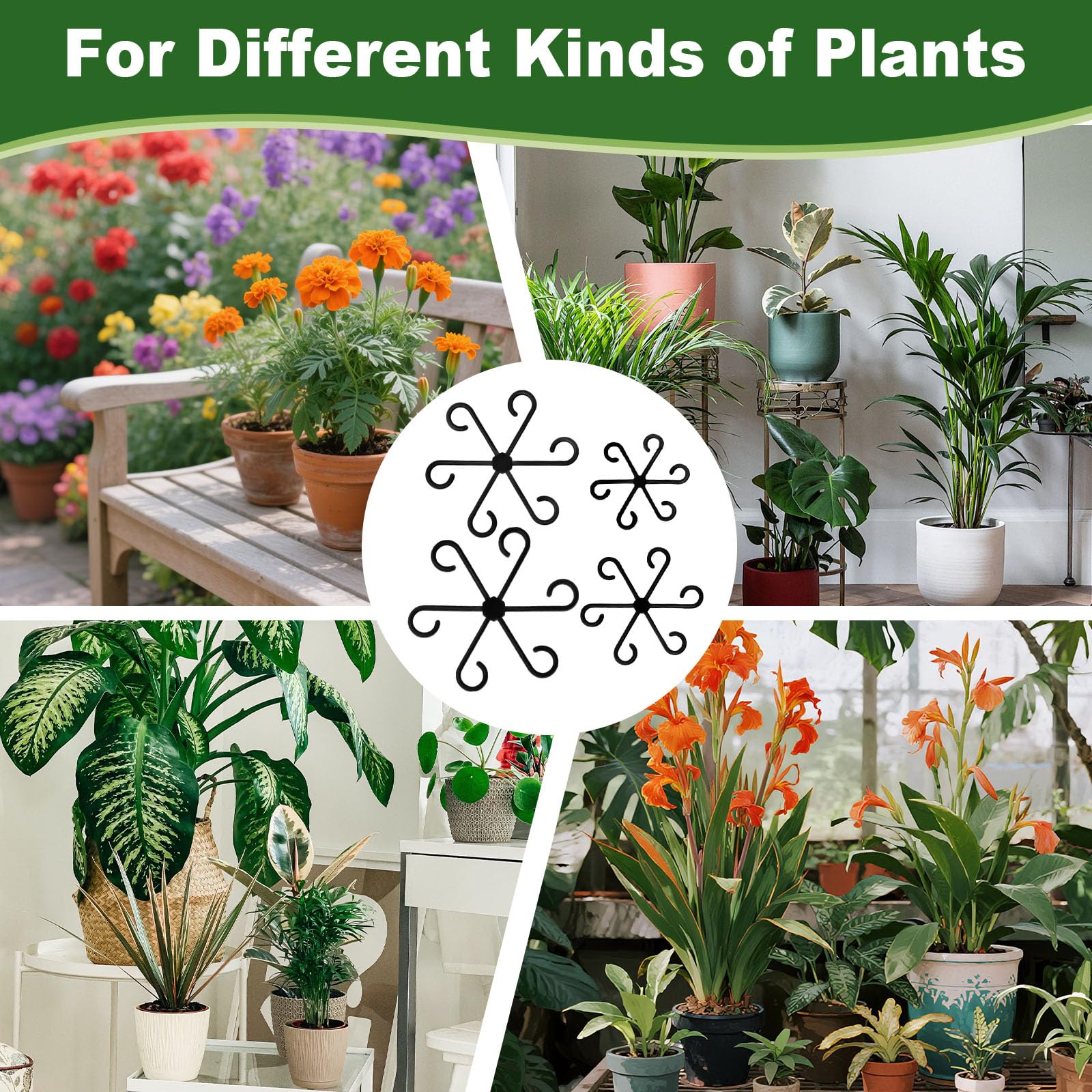 Virmoek indoor-plant-setup improves air circulation and sun exposure