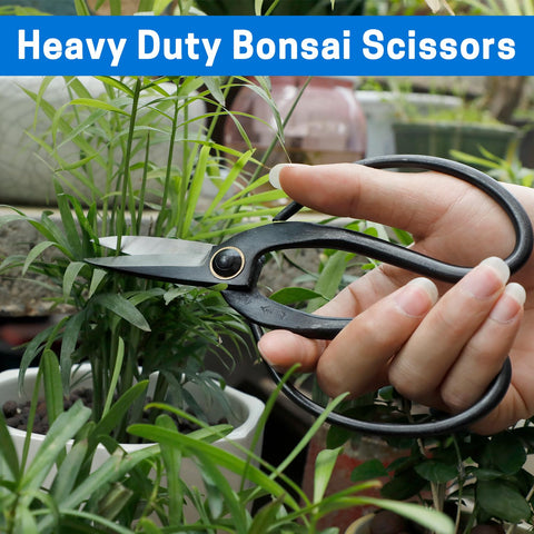 VISEMAN carbon steel blades ensure sharp, durable bonsai cuts.